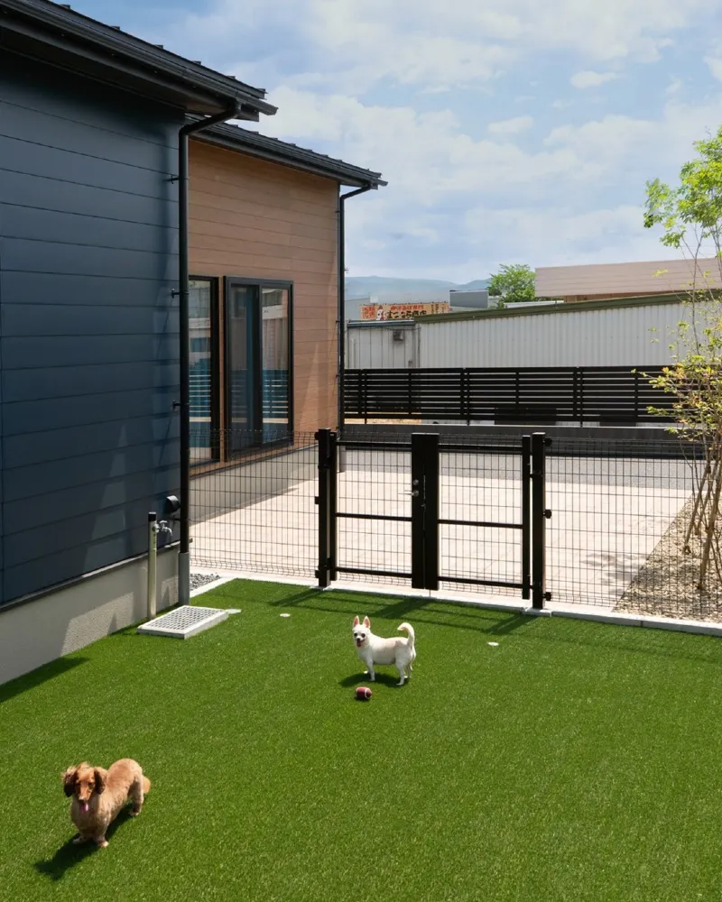 Matte Black Steel Wire Mesh Gate with Modern Aluminum Framing