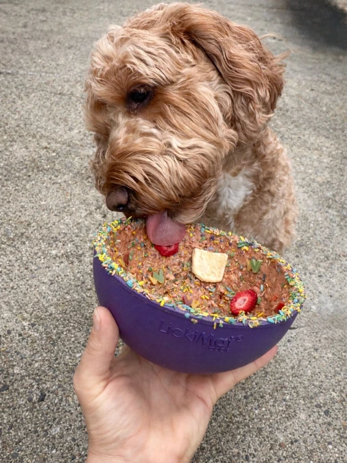 Messy Enrichment Bowls on Concrete Patios