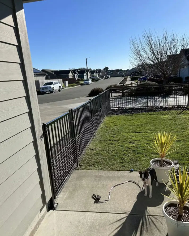 Metal Picket Fence with Added Base Mesh Extension