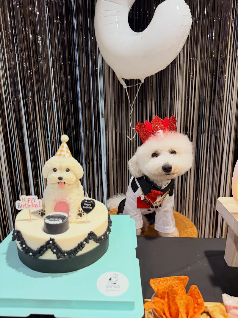 Metallic Foil Fringe Curtain with Fluffy Dog Figurine Cake and Crown Accent