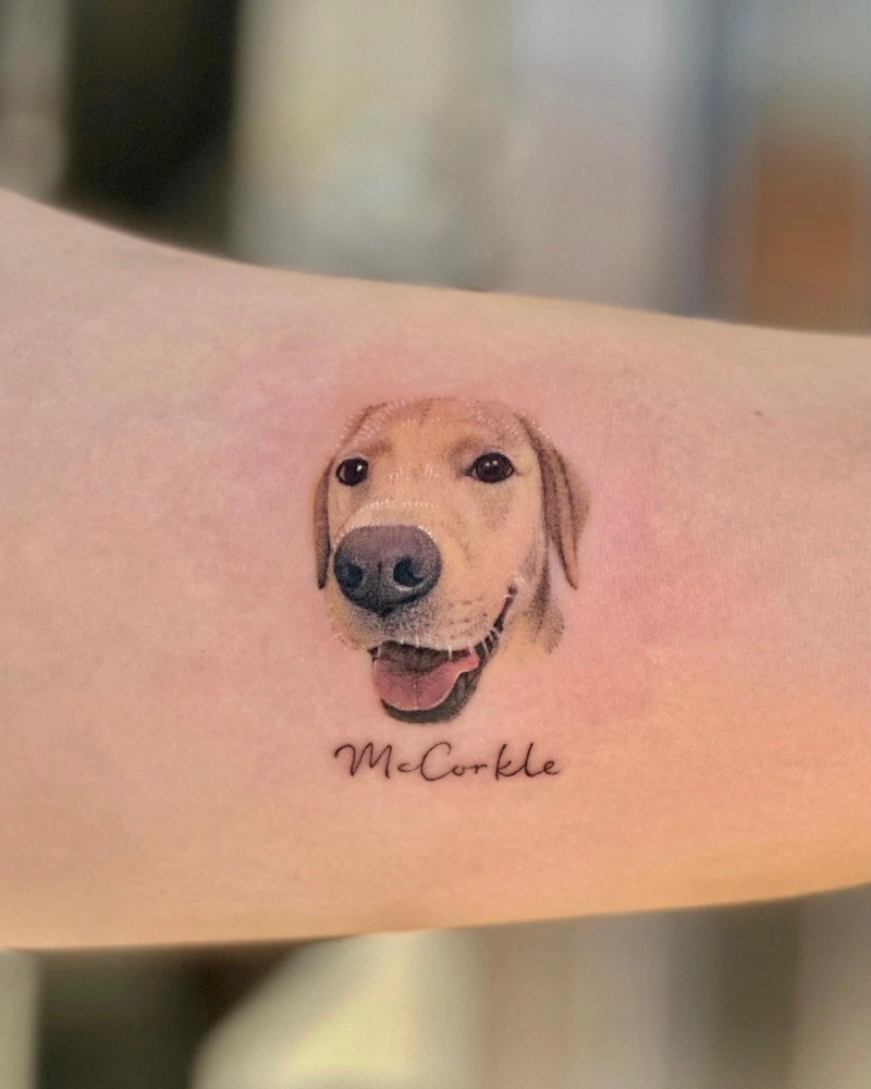Micro-Realistic Golden Labrador Portrait with Script Name Typography