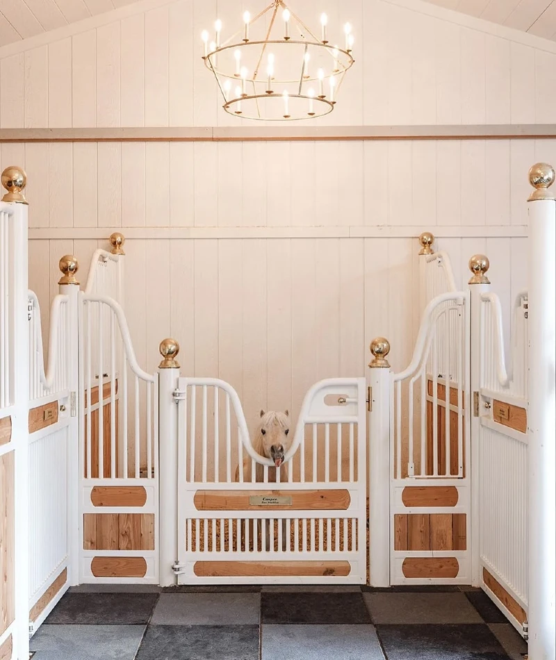 Miniature Horse Stall with Curved White Gates and Brass Finials
