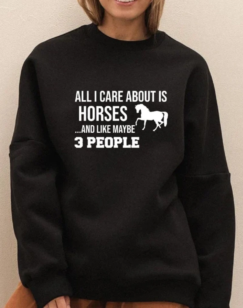 Minimalist Black Sarcastic Horse Pullover