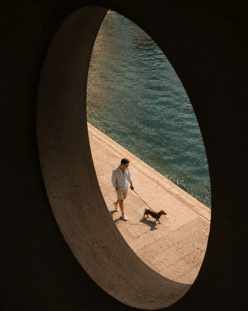 Minimalist Dark Collar with Coastal Resort Apparel on a Dachshund
