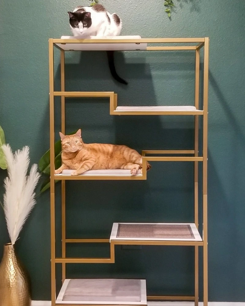 Minimalist Metallic Gold Climbing Tower Set Against a Teal Feature Wall
