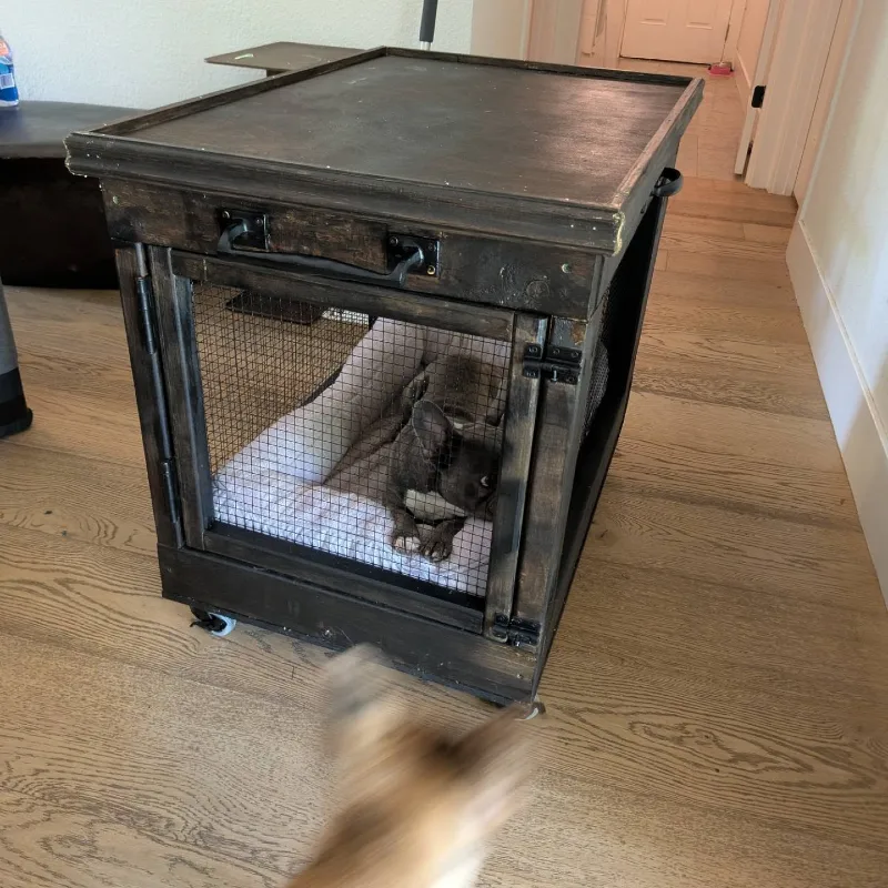 Mobile Dark-Stained Butler Cart Crate with Fine Mesh Panels