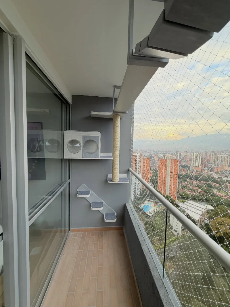 Modern Grey Cat Cubby with Acrylic Bubble Window and Ceiling-Mounted Runway Bridge
