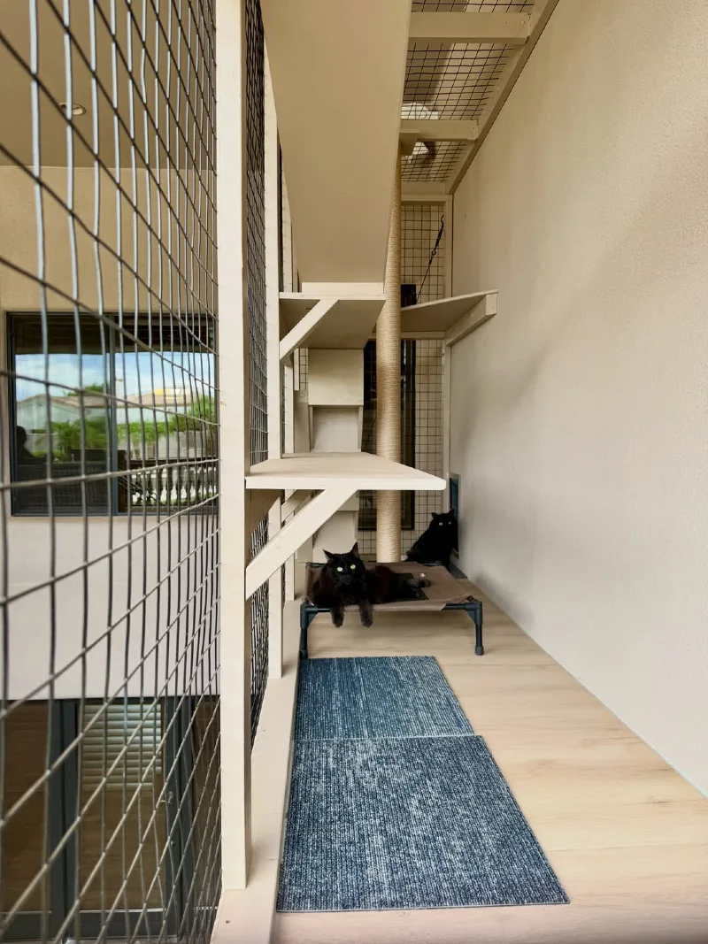 Monochromatic Beige Tiered Runway with Elevated Cot and Blue Accent Rugs