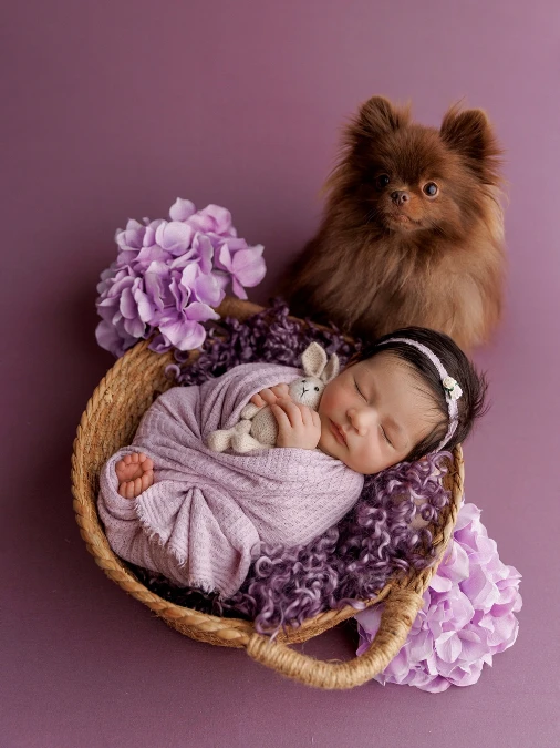 Monochromatic Newborn Basket Setup