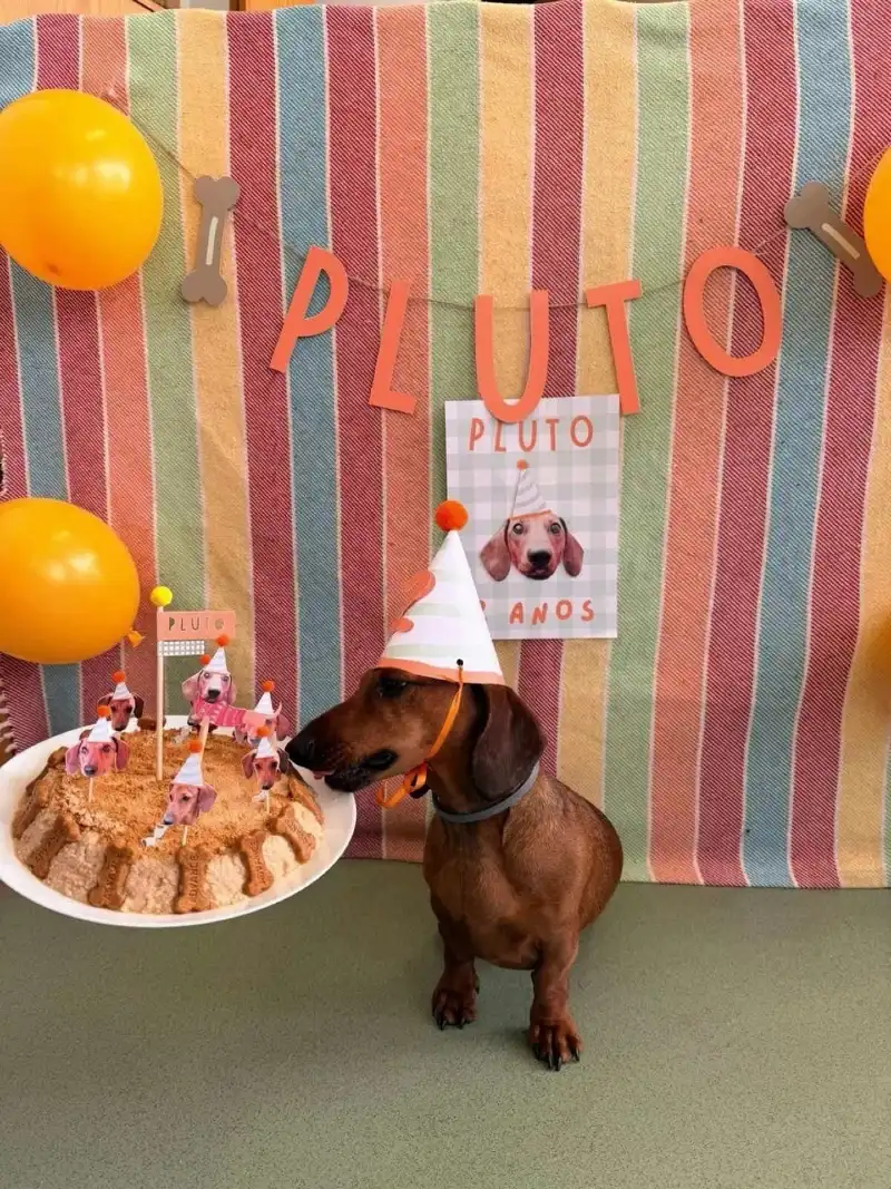Multi-Stripe Blanket Backdrop with Dachshund Cutout Cake and Orange Name Banner