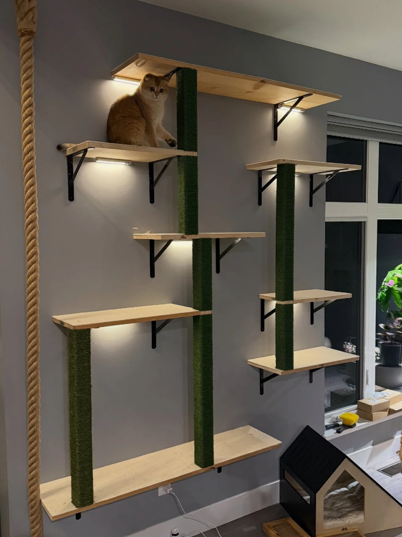 Multi-Tiered Pine Cat Shelves with Built-In Under-Cabinet Lighting and Green Sisal Pillars
