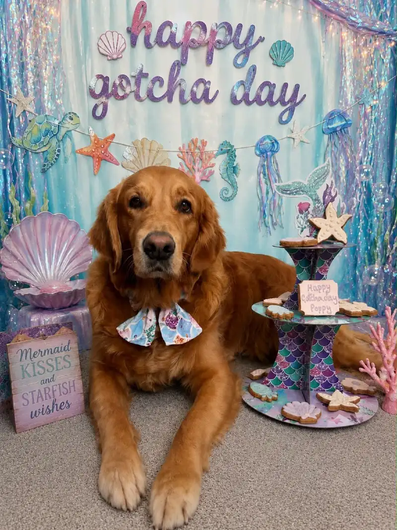 Ocean Mermaid Backdrop with Tiered Treat Tower and Clamshell Props