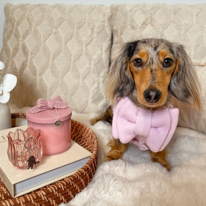 Oversized Knit Bows And Blush Glassware