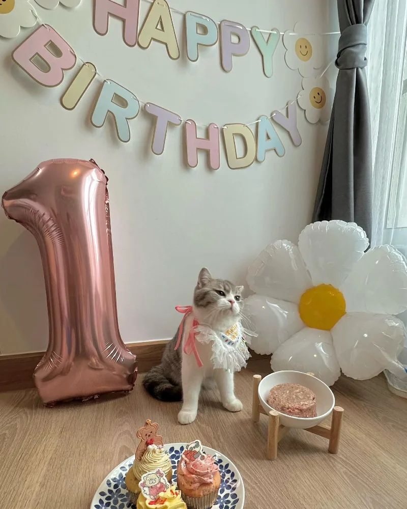 Pastel Paper Garland with Rose Gold Balloon and White Mylar Daisy