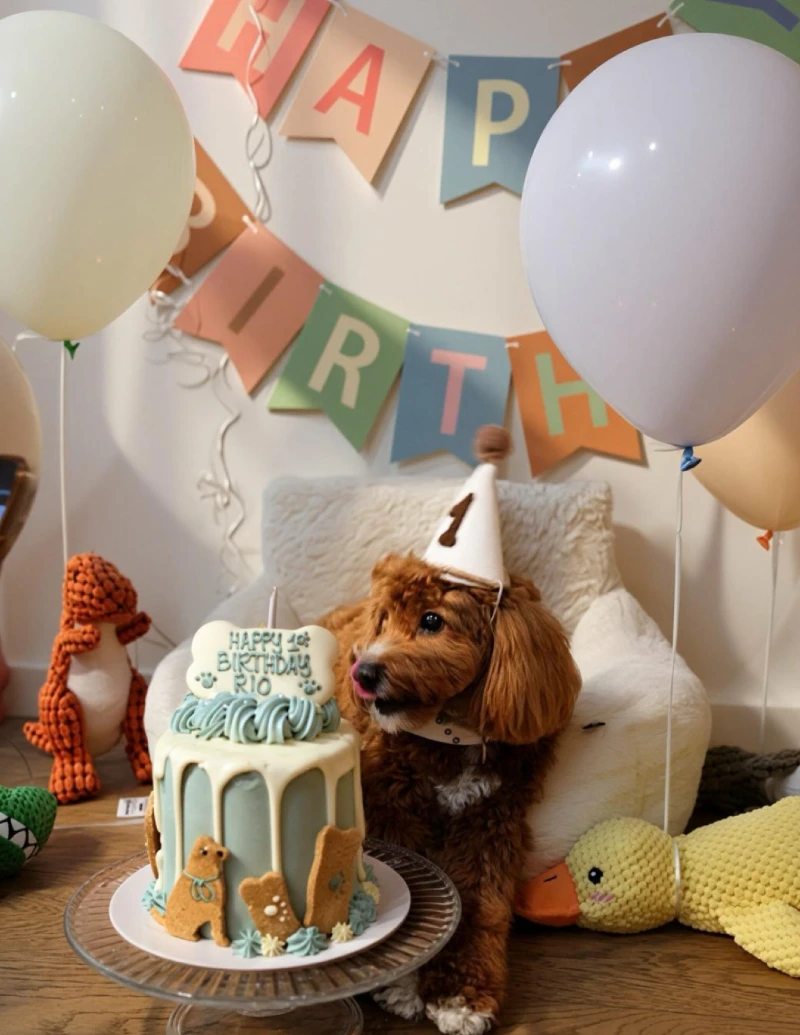 Pastel Pennant Wall Garland with White Sherpa Chair and Gourmet Drip Cake