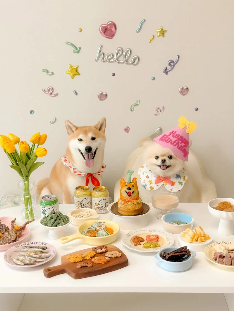 Pastel Treat Banquet with Shiba Inu and Pomeranian Dual Portrait