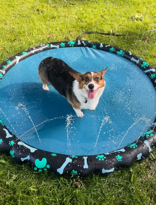 Patterned Rim Sprinkler Mat