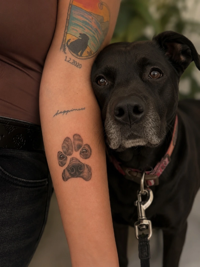 Paw shaped portrait with the dog’s eyes and nose