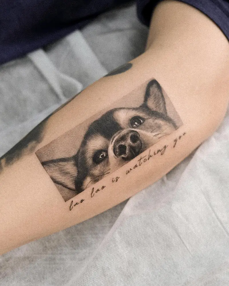 Peeking Corgi Portrait in a Shaded Cinematic Frame with Elegant Cursive Script
