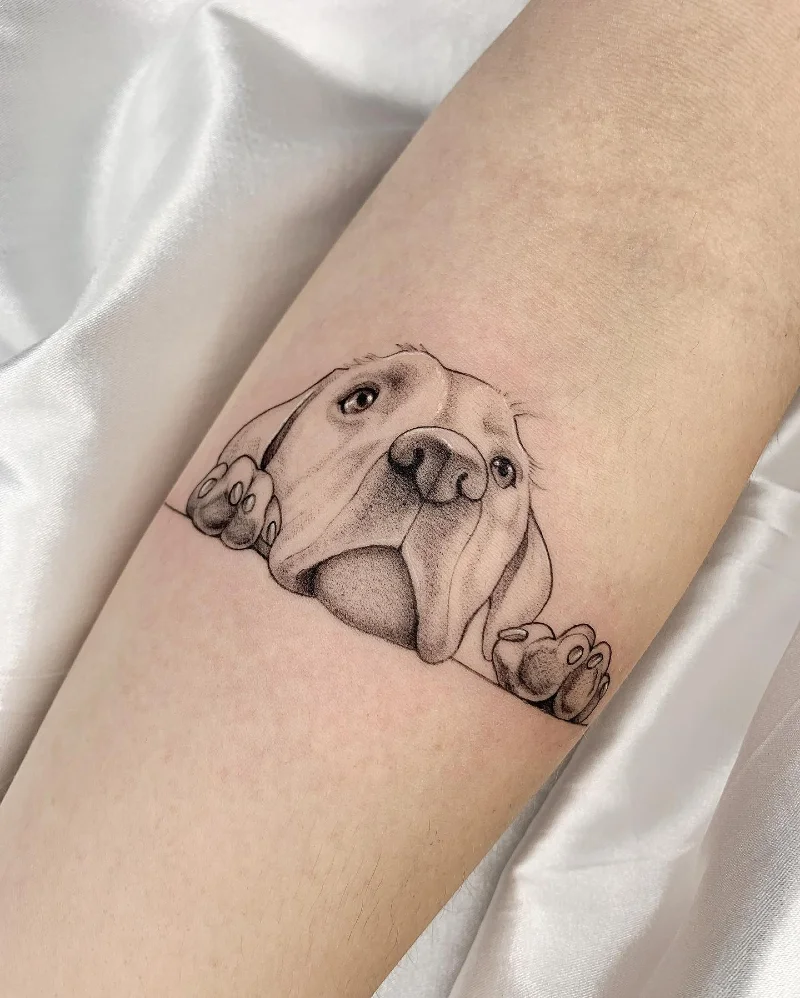 Peeking Labrador with Detailed Paws Peering Over a Line