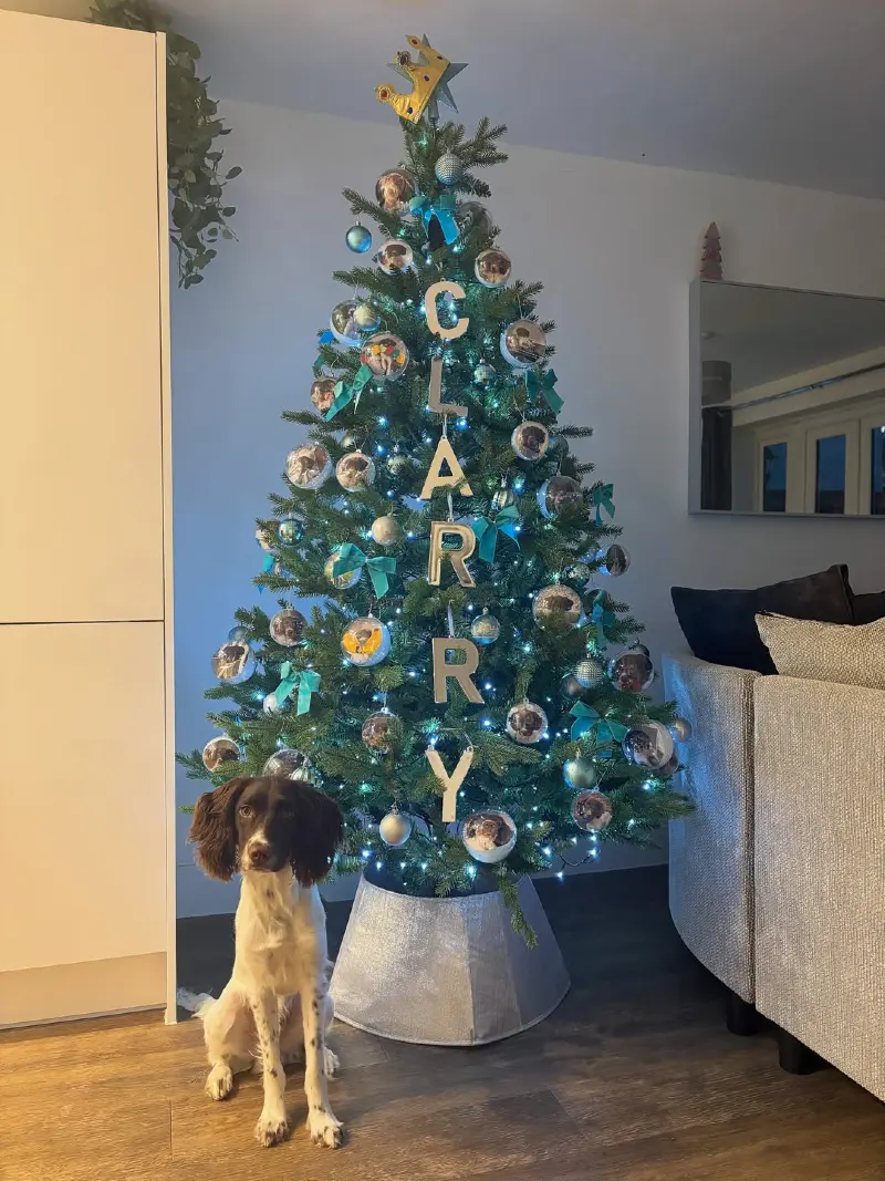 Personalized Name Christmas Tree with Custom Photo Ornaments and Crown Topper