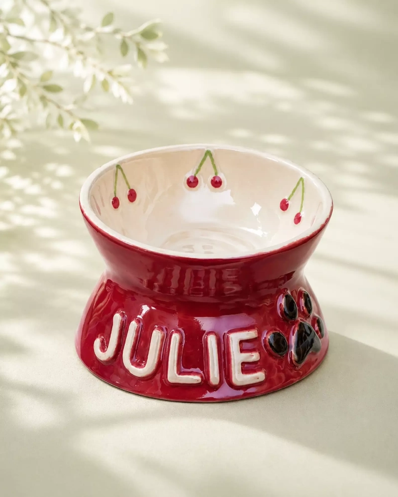Personalized Red Ceramic Elevated Pet Bowl with Cherry Detail