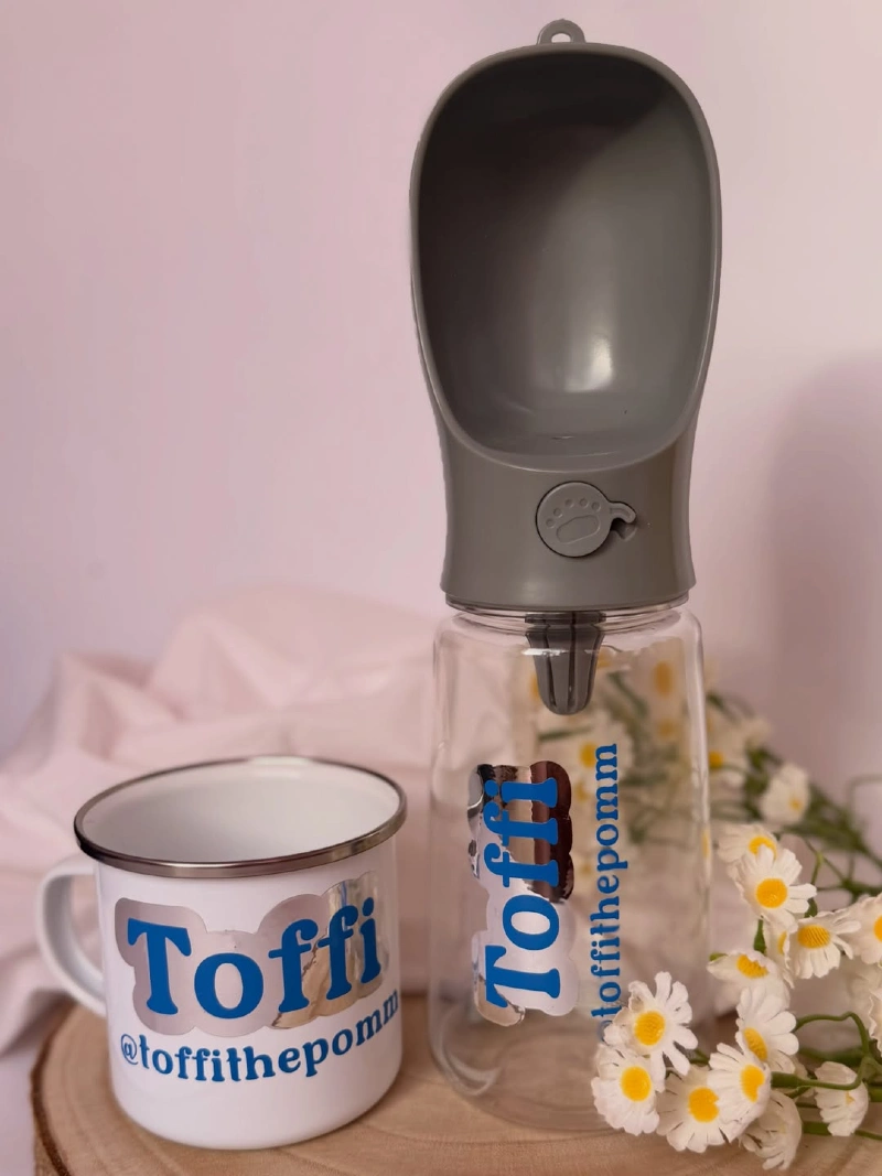 Personalized Travel Water Bottle and Camping Mug Set
