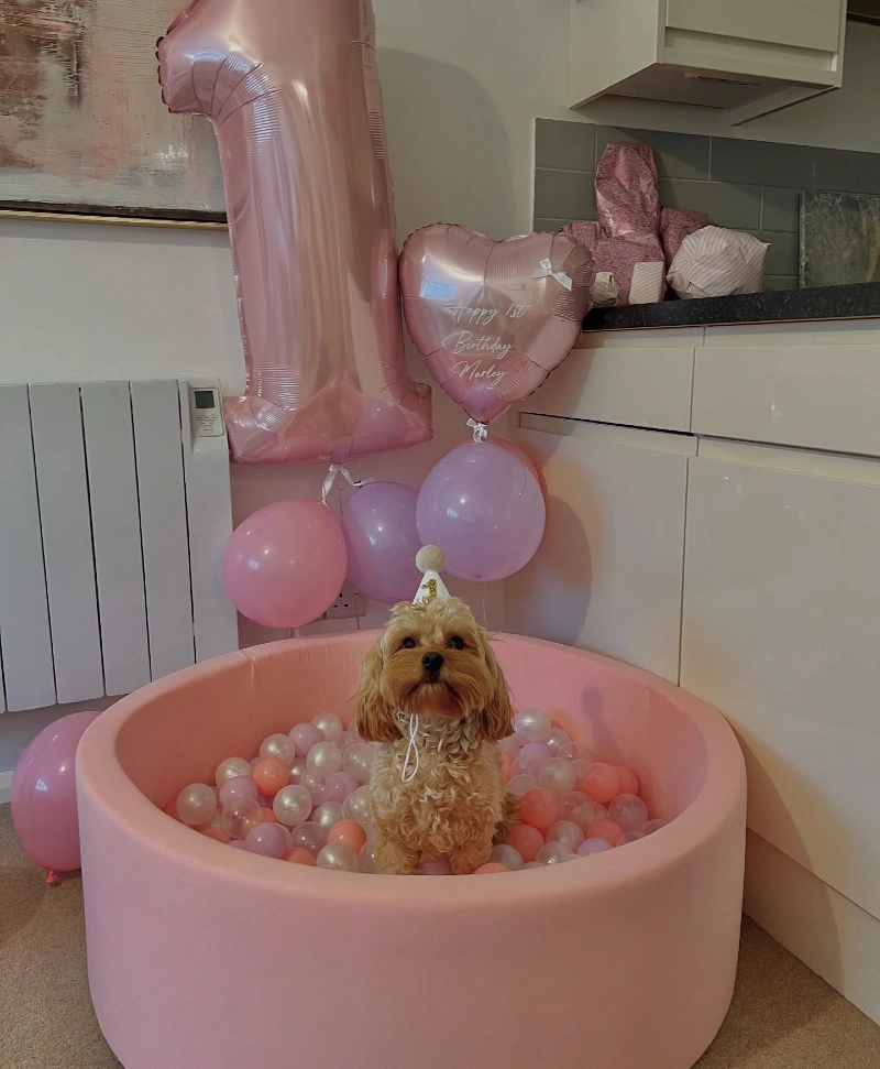 Pink Foam Ball Pit with Pastel Infill, Large Number One Balloon, and Soft Lighting