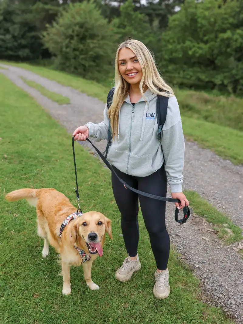 Plaid Harness and Outdoor Apparel on a Golden Retriever