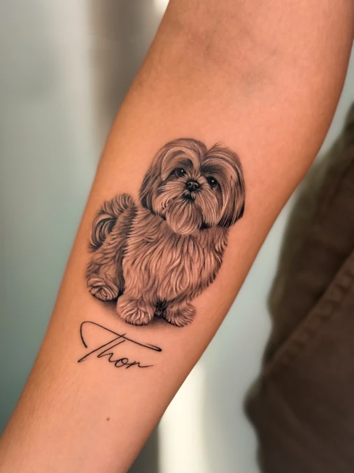 Plush Coated Dog Portrait With Signature