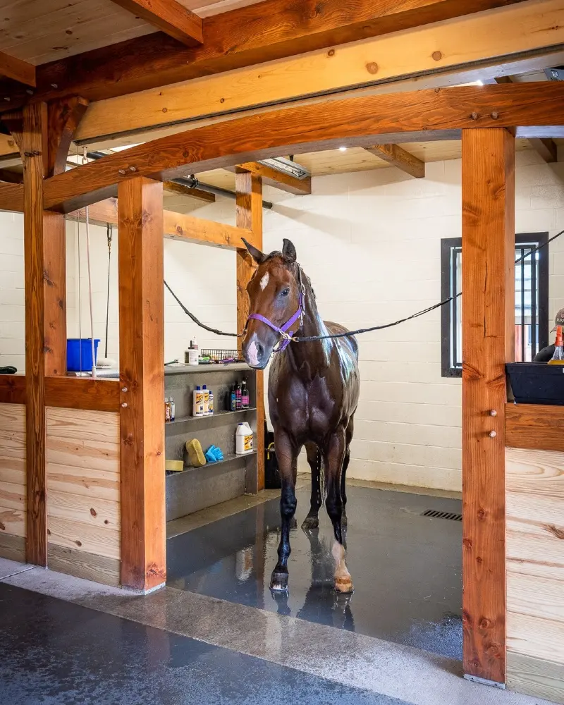 Premium Wash Bay with Timber Framing and Organized Shelving