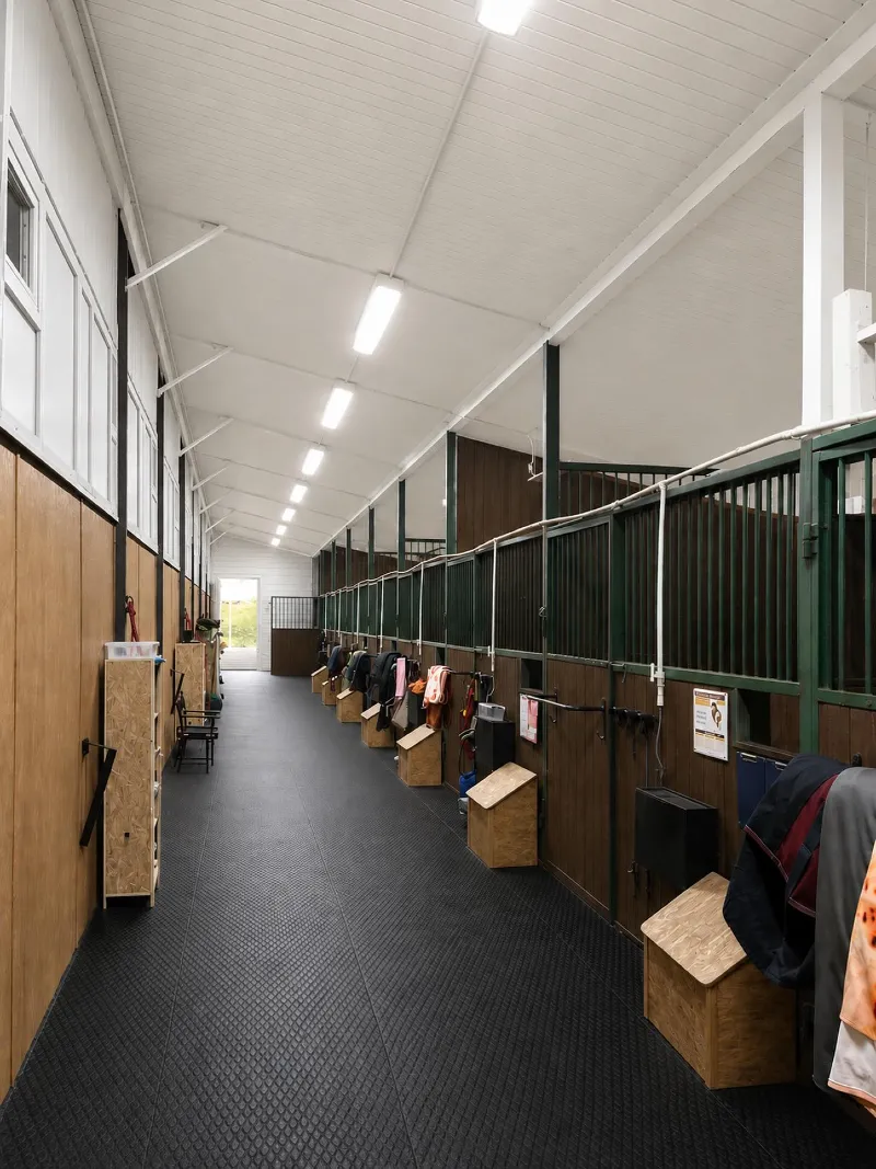 Pristine Equestrian Aisle with White Paneled Ceilings and Matching Wooden Trunks