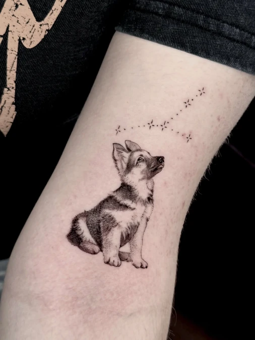 Puppy Portrait With Star Constellation