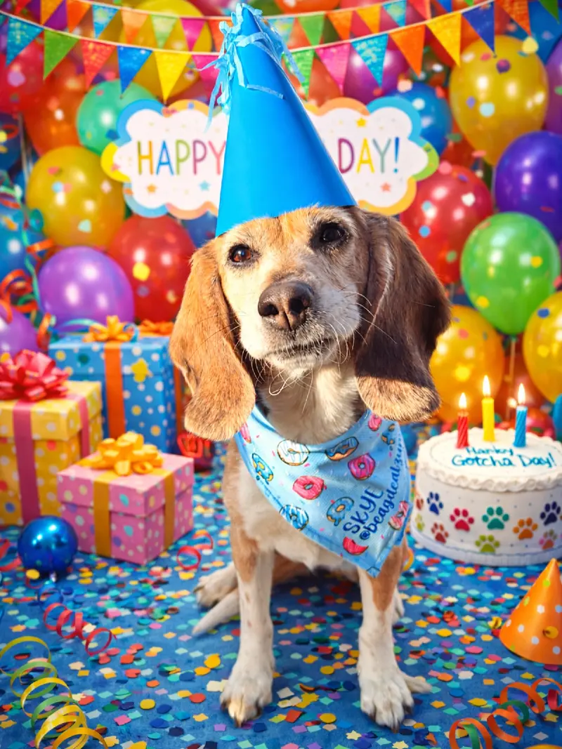 Rainbow Banner Backdrop with Polka-Dot Gift Boxes and Candle Cake