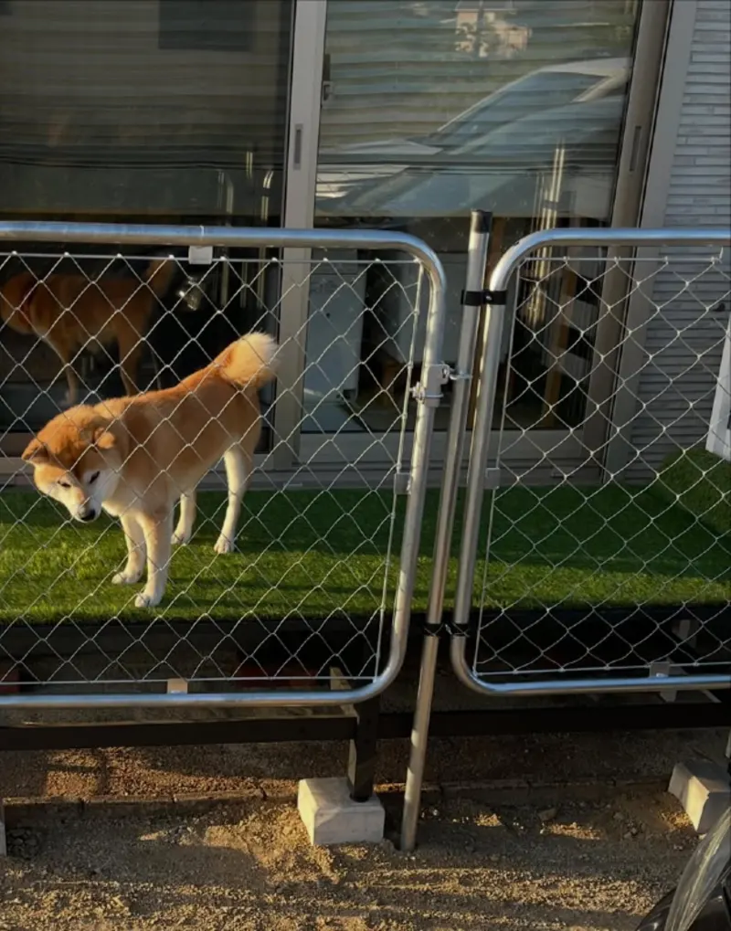 Raised Patio Decking with Chain-Link Fence Enclosure