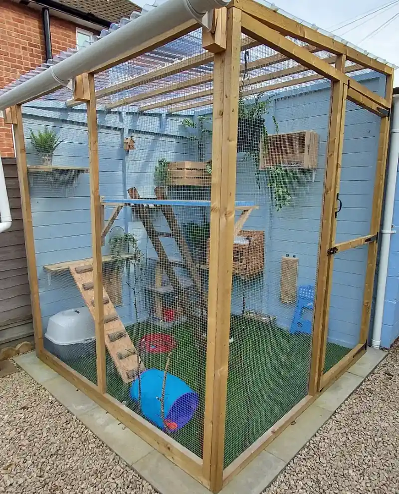 Raw Timber Catio with Pastel Blue Backing and Integrated Gutter System