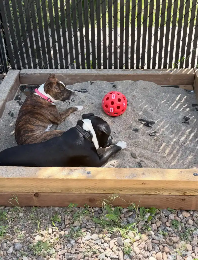 Raw Wood Sandbox Bordered by Rough Gravel and Black Privacy Fencing
