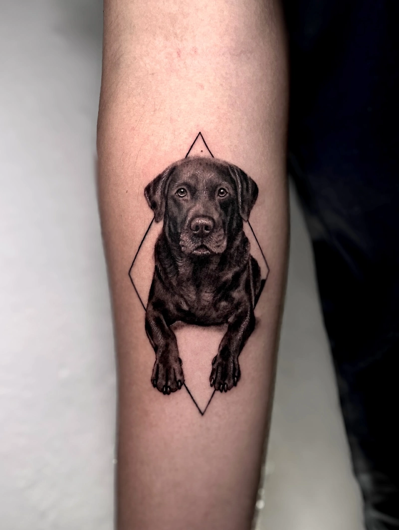 Realistic Black Labrador Framed by a Delicate Geometric Diamond