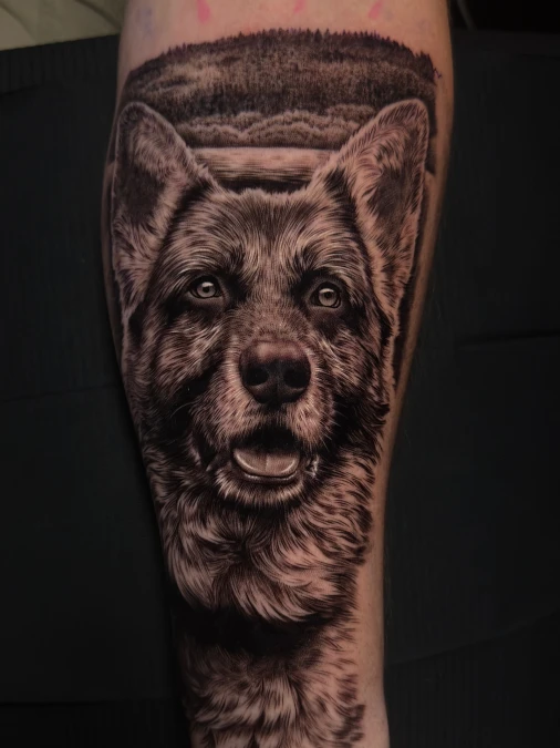 Realistic German Shepherd With Forest Backdrop
