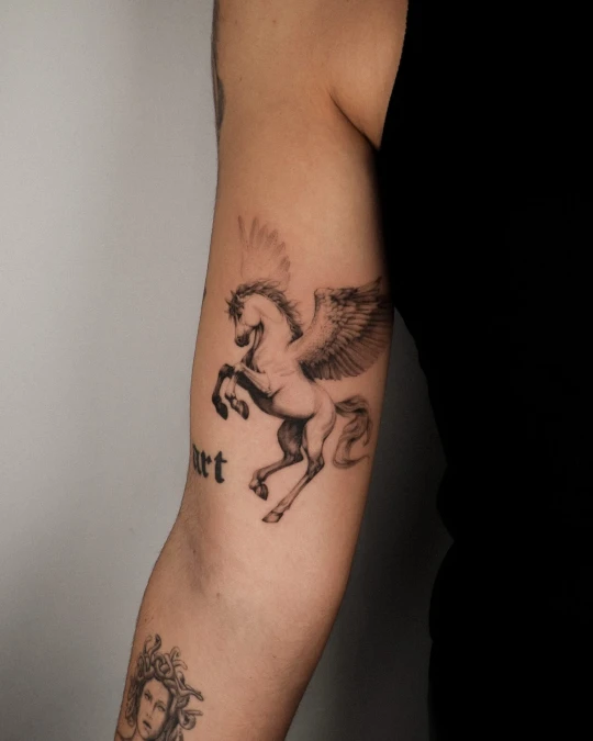 Rearing Pegasus Upper Arm Composition