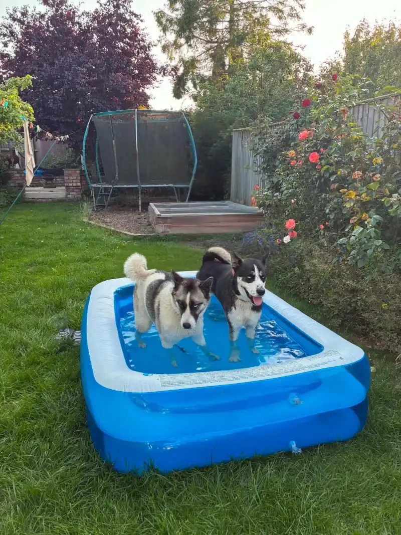 Rectangular Inflatable Family Pool on an Open Grass Yard