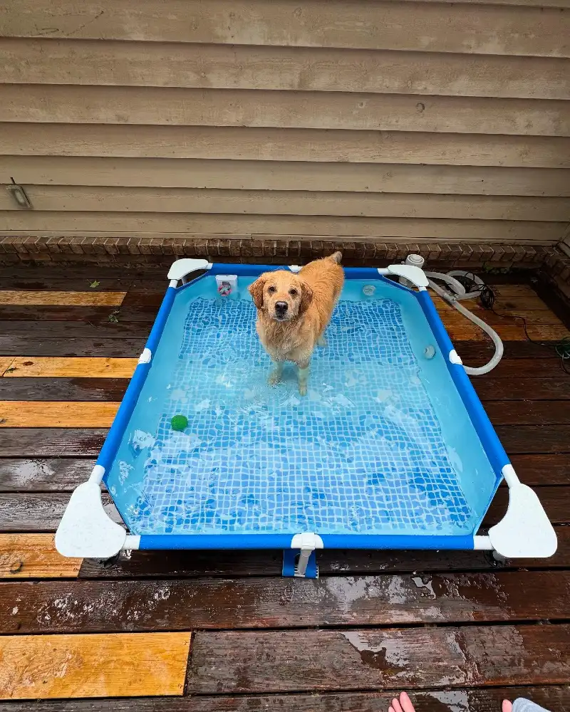 Rectangular Metal Frame Pool on a Weathered Wooden Deck