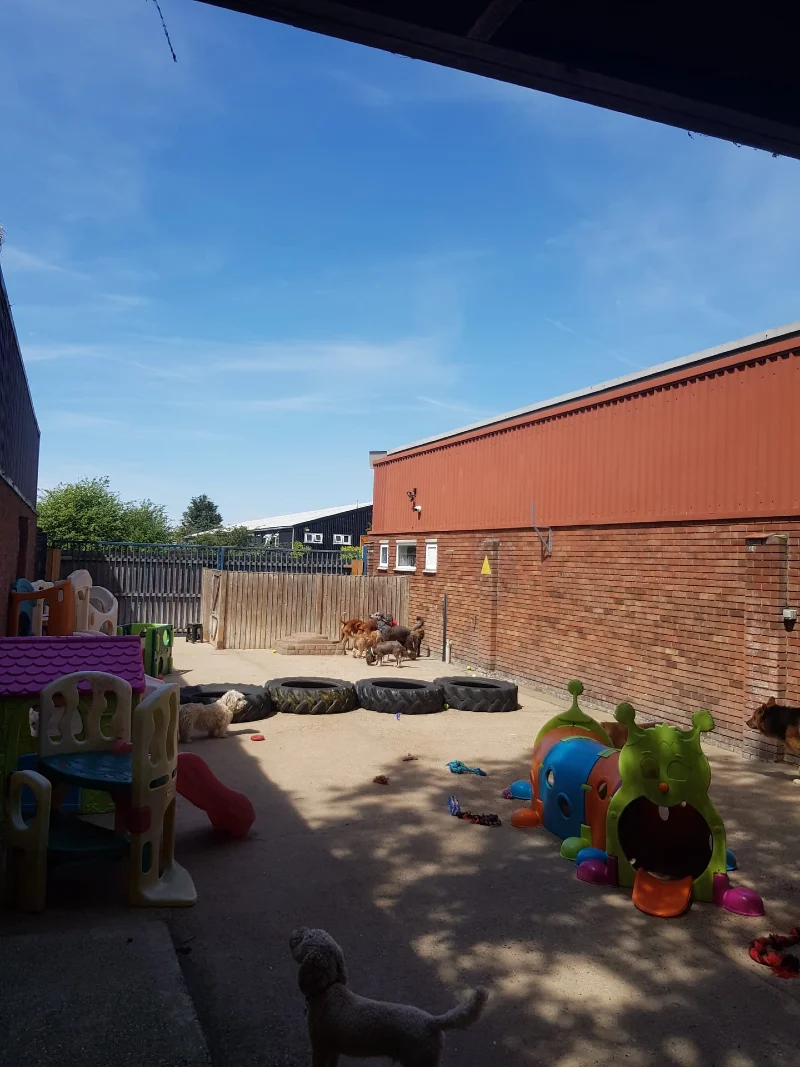 Recycled Tire Jump Course with Caterpillar Tunnel and Modular Playhouses