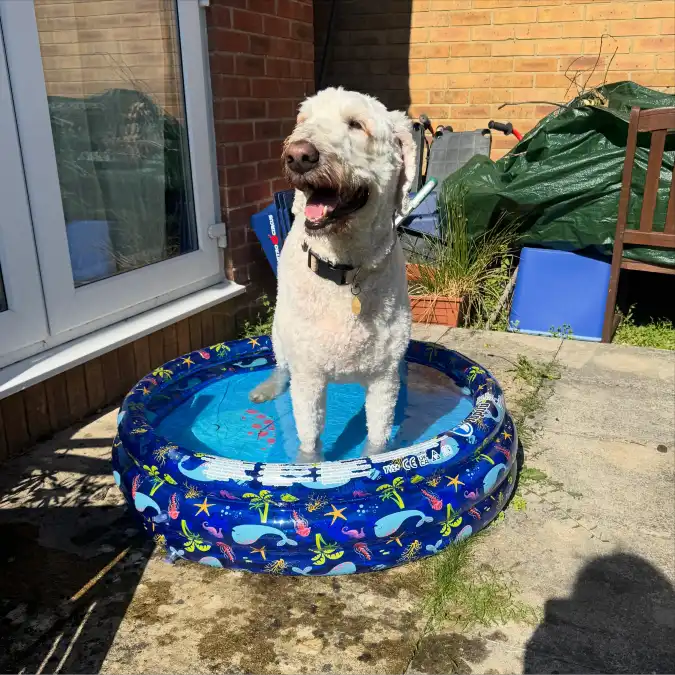 Repurposed Inflatable Patio Pool