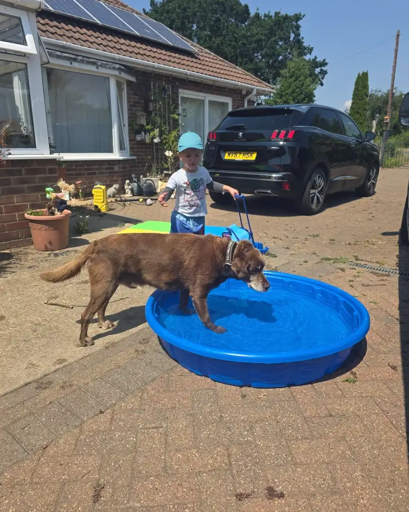 Rigid Blue Plastic Tub on a Herringbone Brick Paver Driveway