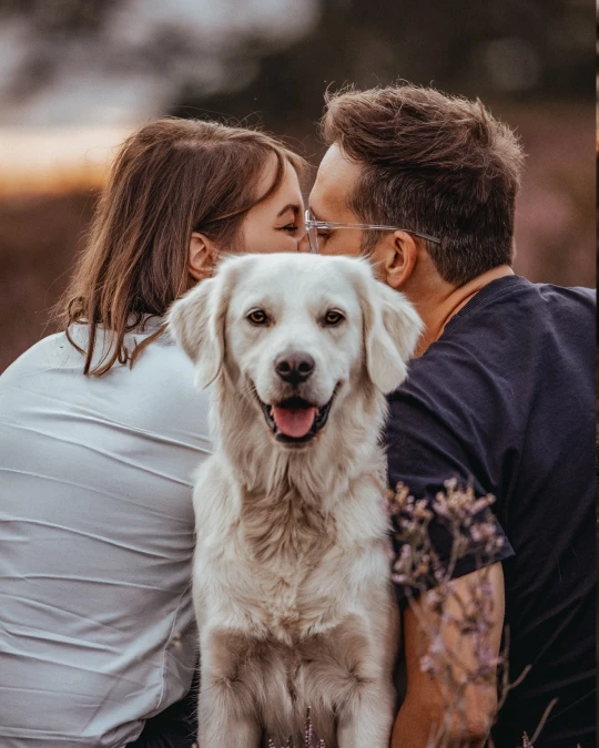 Romantic Blurred Background Pet Portraits