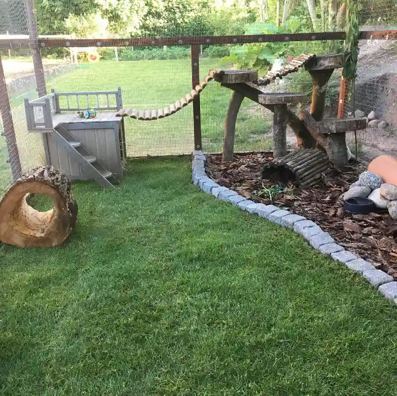 Rustic Tree-Trunk Climbing Tower with Suspension Log Bridge