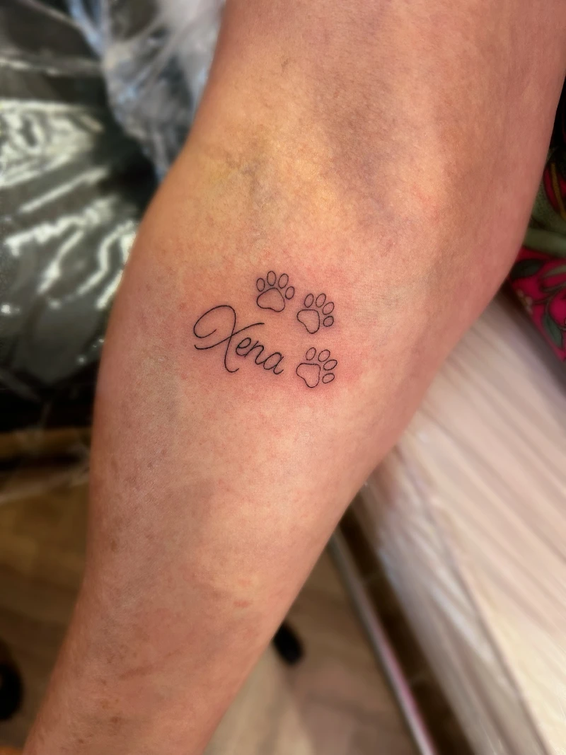 Script name surrounded by three tiny paw outlines