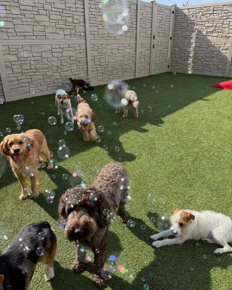 Sensory Bubble Machine Play Zone with Faux Stone Privacy Walls