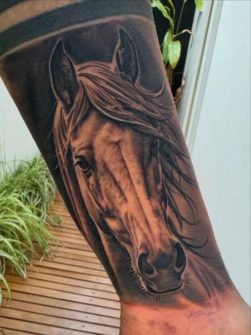 Serene Equine Portrait Framed By Shadow